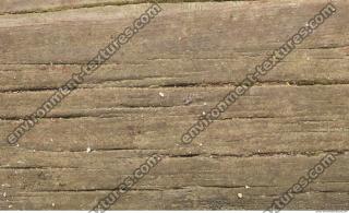 photo texture of wood bare 